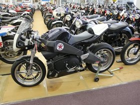 IMG_2081.JPG